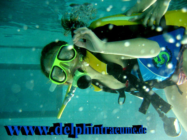 Bild 117