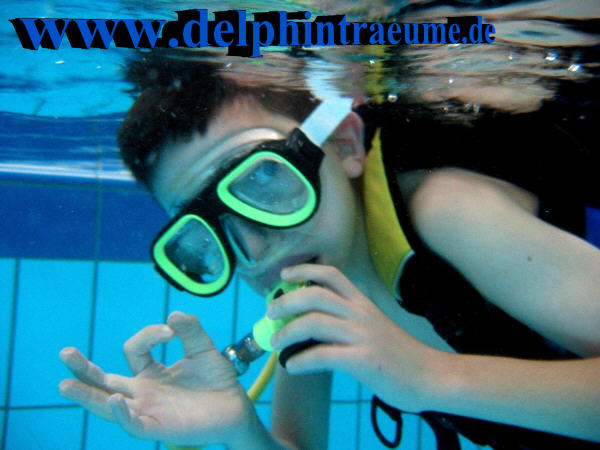 Bild 91